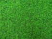 Adrián Műfű Szőnyeg zöld 200 x 300 cm