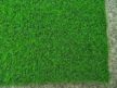 Charli kültéri Műfű szőnyeg zöld 4m széles