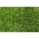 Izidor zöld Műfű Szőnyeg zöld 4 m széles 40 mm