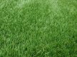 Rozmaring UV álló kültéri műfű 2 m és 4 m széles zöld