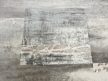 Esteban Bézs Modern Szőnyeg 160 x 230 cm